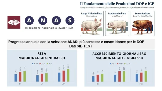 Dati del SIB Test per Resa e Accrescimenti