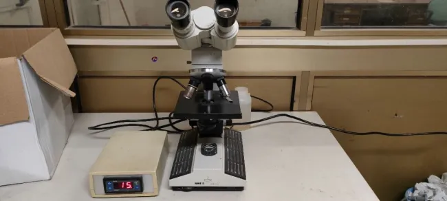 Vendo microscopio revisionato binoculare. Prezzo 100 euro, incluso pia...