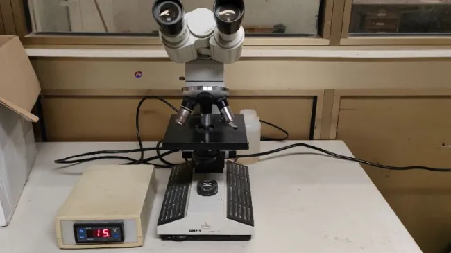 Vendo microscopio revisionato binoculare. Prezzo 100 euro, incluso pia...