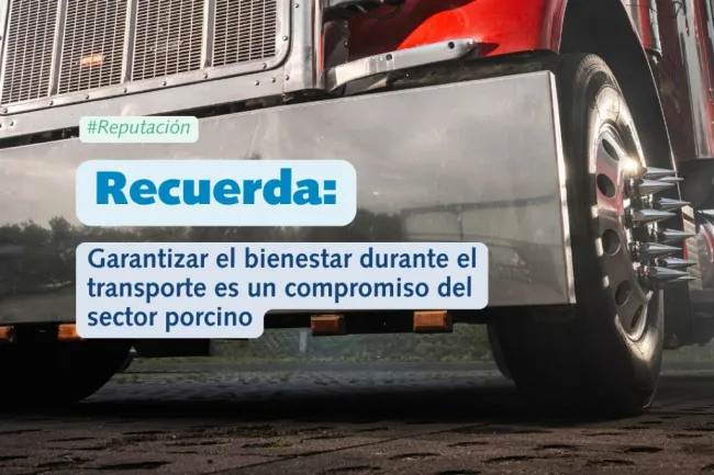 🐷 Pocas etapas concentran tanto riesgo… Y tanta visibilidad.