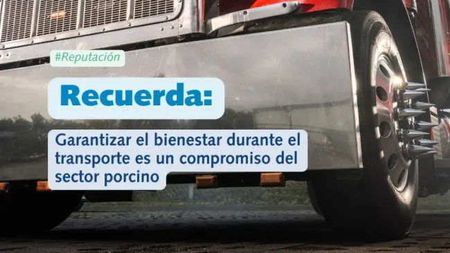 🐷 Pocas etapas concentran tanto riesgo… Y tanta visibilidad.