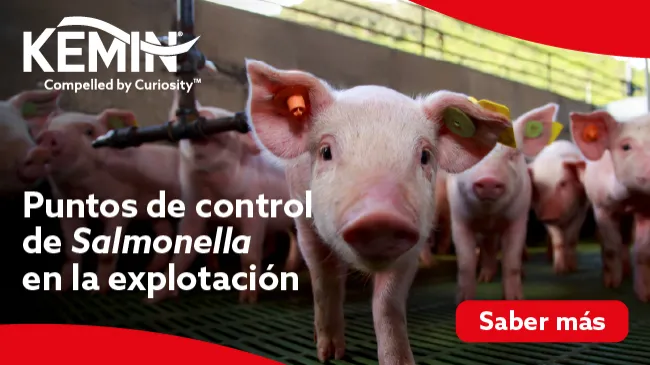 Puntos de control de Salmonella en la explotación 