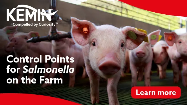 Control Points for Salmonella on the Farm 