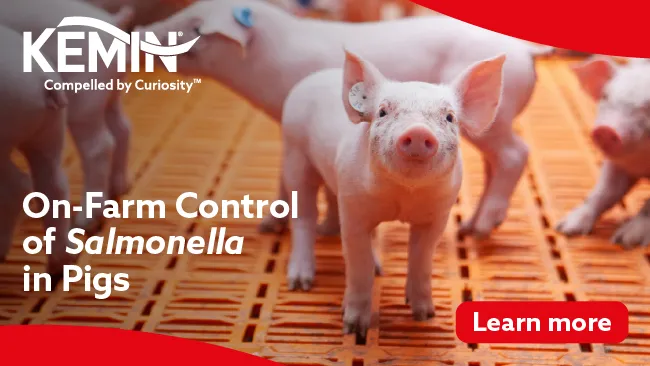 On-Farm Control of Salmonella in Pigs 