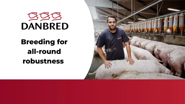 Breeding for all-round robustness 