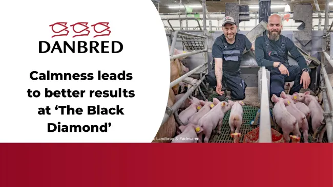 Calmness leads to better results at ‘The Black Diamond’ 