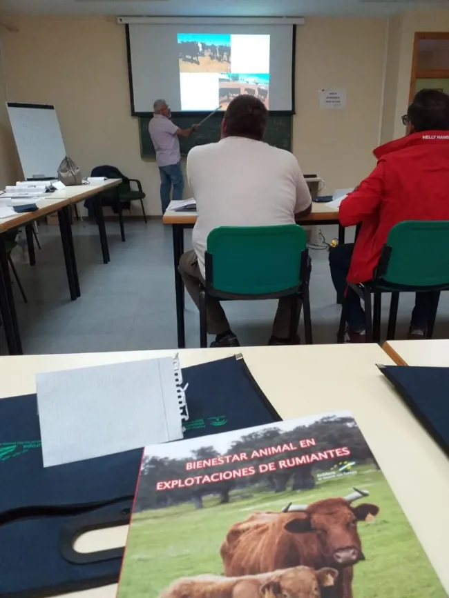 Formacion de Ganaderos