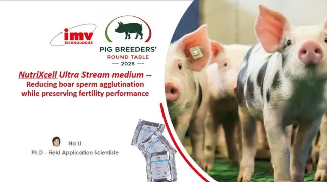 🐷 𝐈𝐌𝐕 𝐓𝐞𝐜𝐡𝐧𝐨𝐥𝐨𝐠𝐢𝐞𝐬 �...