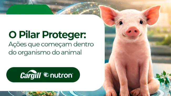 O Pilar Proteger: Ações que começam dentro do organismo do animal