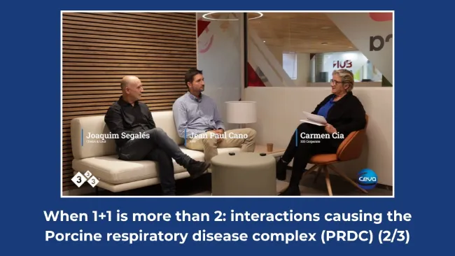 When 1+1 is more than 2: interactions causing the Porcine respiratory disease complex (PRDC) (2/3)