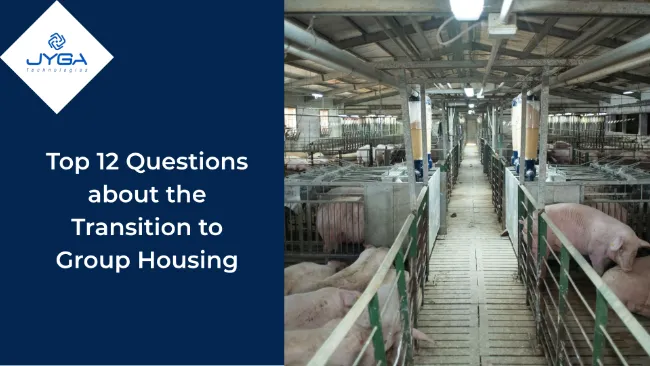Top 12 Questions about the Transition to Group Housing 