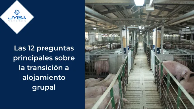 Las 12 preguntas principales sobre la transición a alojamiento grupal: