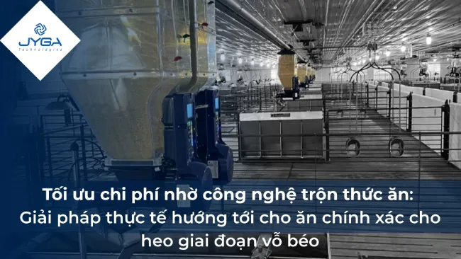 Tối ưu chi phí nhờ công nghệ trộn thức ăn: Giải pháp thực tế hướng tới cho ăn chính xác cho heo giai đoạn vỗ béo