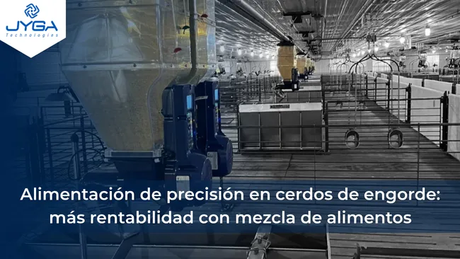 La mezcla de alimentos es rentable: un camino práctico hacia la precisión en granjas de engorde