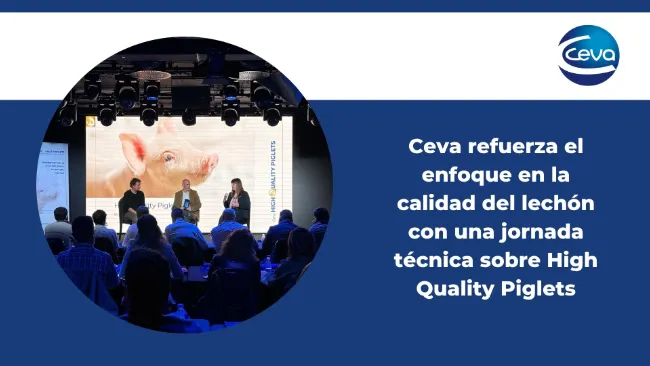 Ceva refuerza el enfoque en la calidad del lechón con una jornada técnica sobre High Quality Piglets