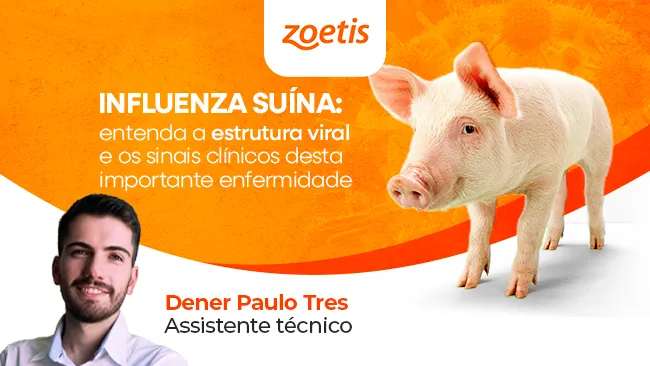 Influenza suína: entenda a estrutura viral e os sinais clínicos desta importante enfermidade