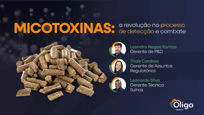 Micotoxinas: a revolução no processo de detecção e combate  