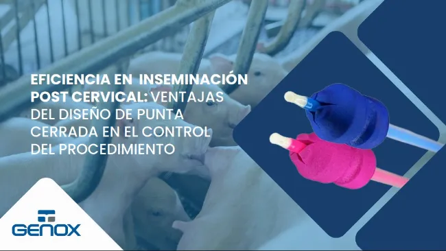Eficiencia en inseminación post cervical: ventajas del diseño de punta cerrada en el control del procedimiento
