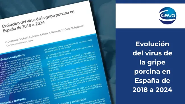 Evolución del virus de la gripe porcina en España de 2018 a 2024