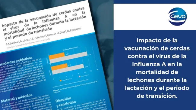 Impacto de la vacunación de cerdas contra el virus de la Influenza A en la mortalidad de lechones durante la lactación y el periodo de transición
