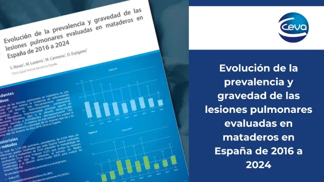 Evolución de la prevalencia y gravedad de las lesiones pulmonares evaluadas en mataderos en España de 2016 a 2024