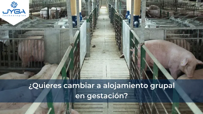Las 12 preguntas principales sobre la transición a alojamiento grupal