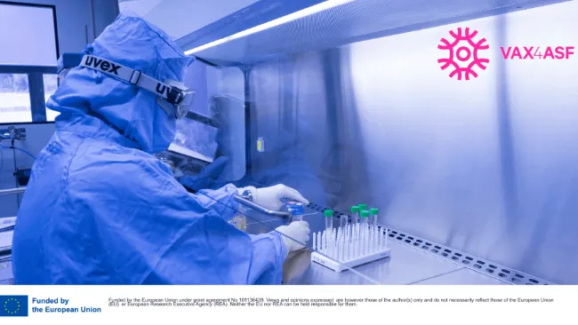 📢 Are you working in animal health, veterinary research, or the pig sector? We are looking for you!