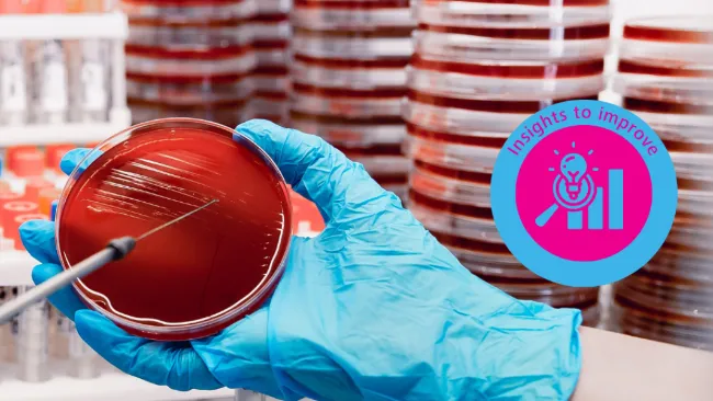 Contaminación bacteriana en el semen: alternativas para sustituir los antibióticos - Topigs Norsvin