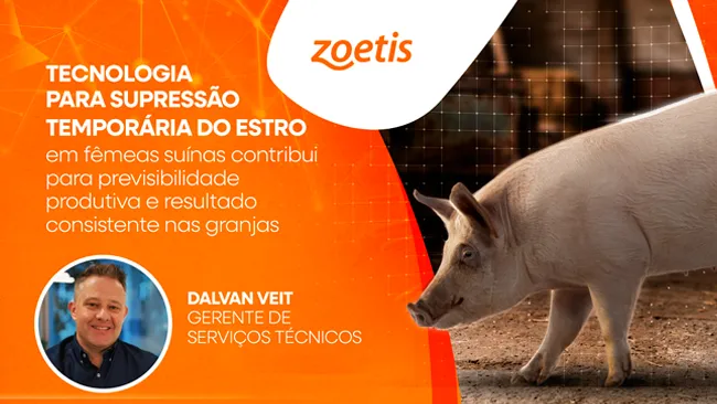 Tecnologia para supressão temporária do estro em fêmeas suínas contribui para previsibilidade produtiva e resultado consistente nas granjas