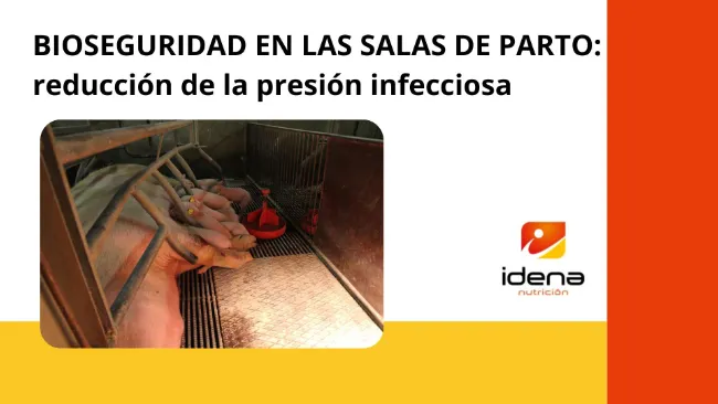Bioseguridad en las salas de parto: reducción de la presión infecciosa