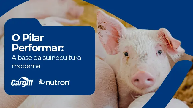 O Pilar Performar: A base da suinocultura moderna