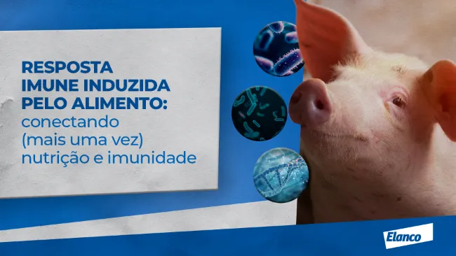 Resposta imune induzida pelo alimento: conectando (mais uma vez) nutrição e imunidade