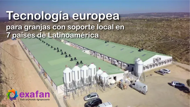 EXAFAN en Latinoamérica: tecnología europea para granjas porcinas y avícolas con soporte local en 7 países