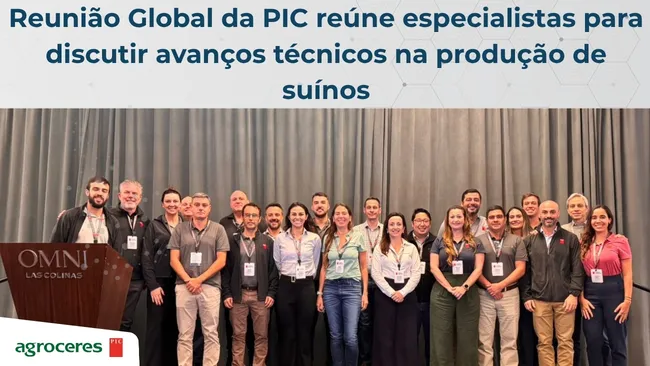 Reunião Global da PIC reúne especialistas para discutir avanços técnicos na produção de suínos