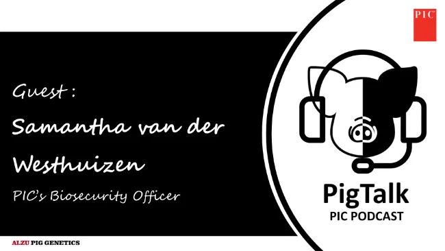 PigTalk Ep1: A different type of security