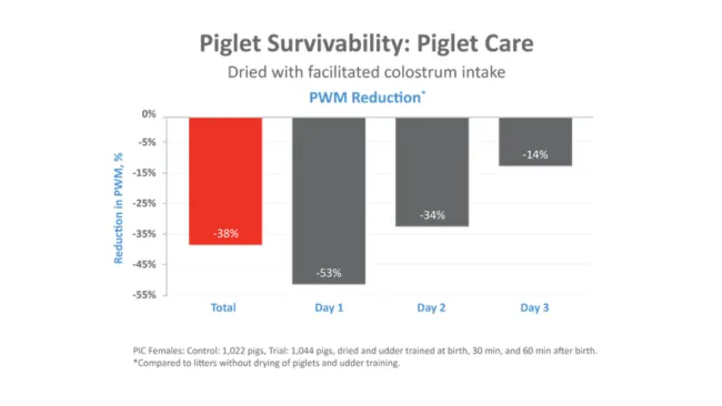 How to Improve Pre-Wean Survivability: Strategies to prioritize piglet care tasks when labor is tight