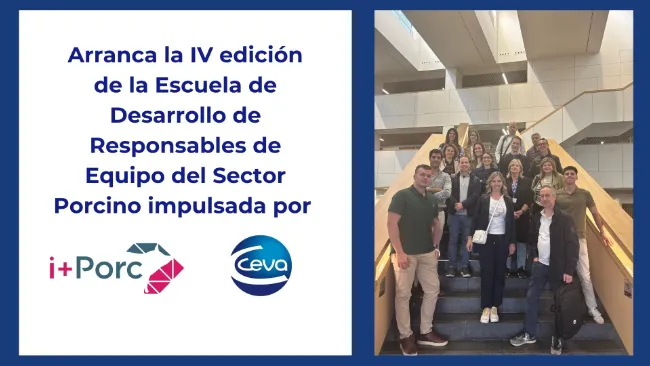 Arranca la IV edición de la Escuela de Desarrollo de Responsables de Equipo del Sector Porcino impulsada por i+Porc y Ceva Salud Animal