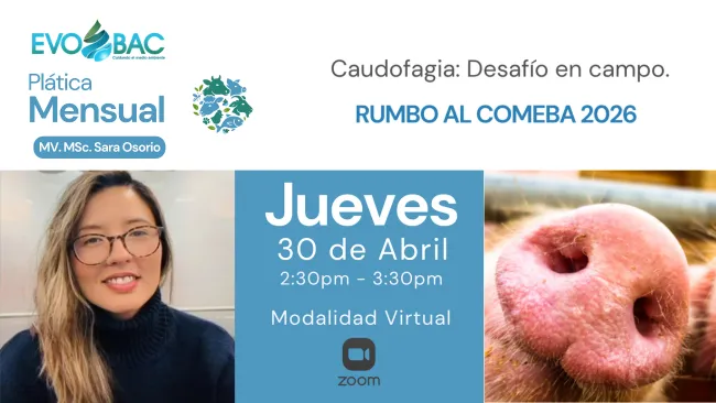 Caudofagia: cuando el problema que ves es solo la consecuencia de lo que no estás viendo