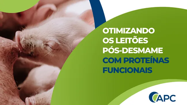 Otimizando os leitões pós-desmame com proteínas funcionais