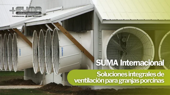 SUMA Internacional ofrece soluciones integrales de ventilación para optimizar la productividad en granjas porcinas 