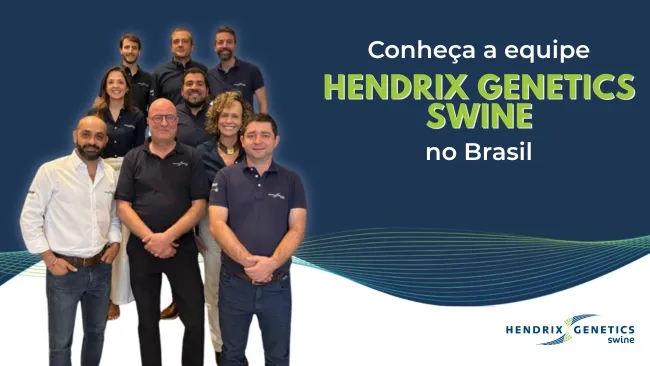 Hendrix Genetics Swine apresenta equipe Brasil