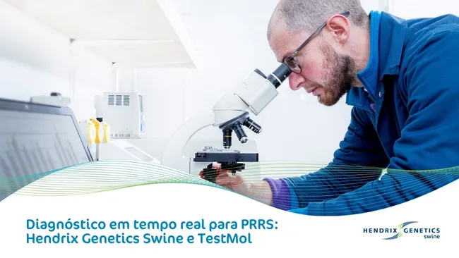 Diagnóstico em tempo real: o valor da biologia molecular na prevenção da PRRS