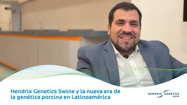 De la experiencia global al impacto local: el compromiso regional de Hendrix Genetics Swine