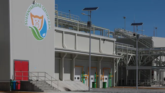 Mantiene crecimiento Planta Procesadora de Carne de Altosano-Granjas Carroll