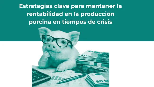 Estrategias clave para mantener la rentabilidad en la producción porcina en tiempos de crisis