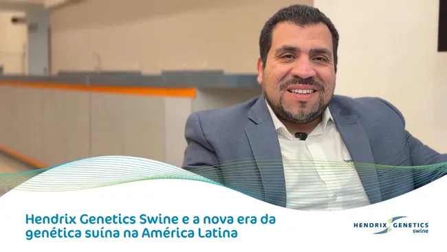 Da experiência global ao impacto local: o compromisso regional da Hendrix Genetics Swine