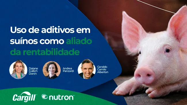 Uso de aditivos em suínos como aliado da rentabilidade 