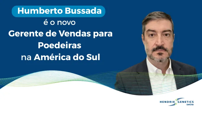 Humberto Bussada assume como Gerente de Vendas para poedeiras na América do Sul
