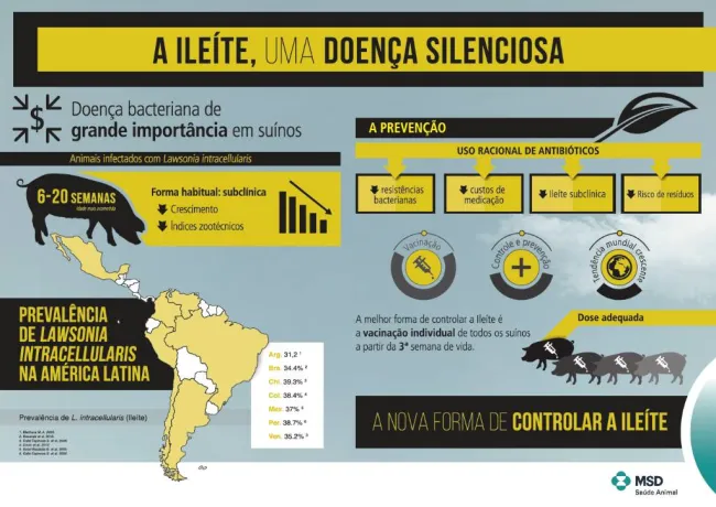 Prevalência e control da ileíte