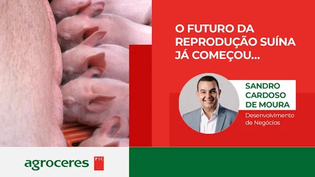 O Futuro da Reprodução Suína já Começou…